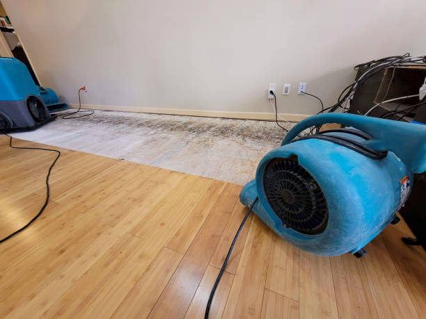 Professional Water Removal technician working in Martins Ferry, OH